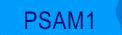 PSAM 1