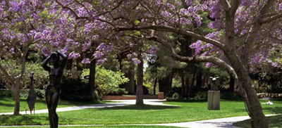 Franklin D. Murphy Sculpture Garden